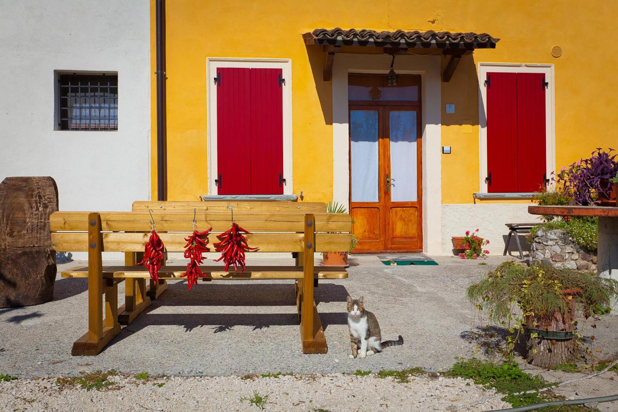 Agriturismo Nuova Scardua Affittacamere Cavriana Esterno foto